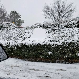 Meet your Posher, Silvia